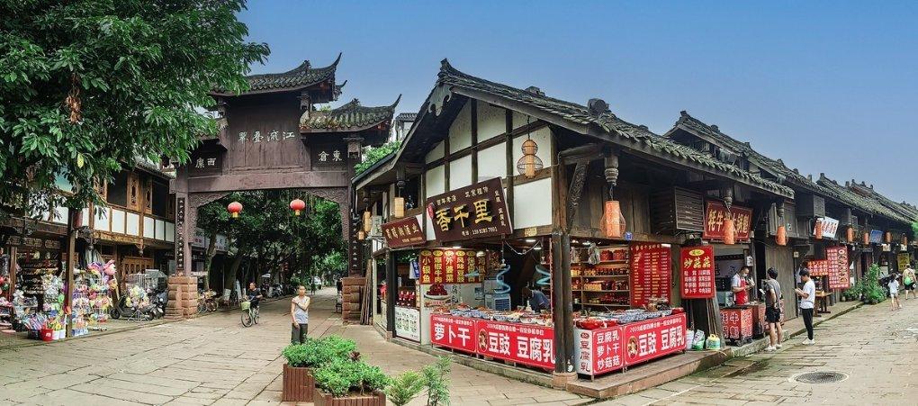 萌犬找不同