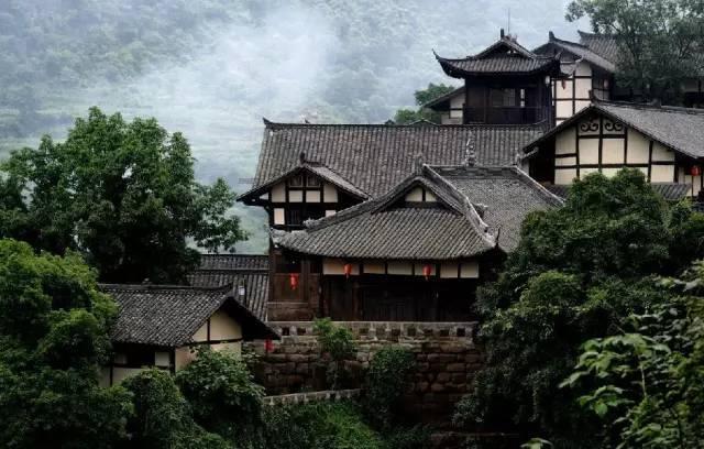 可爱啄木鸟逃脱